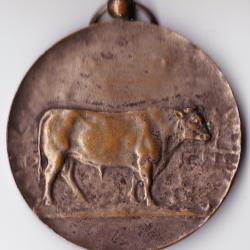 Medaille veekamp 1951